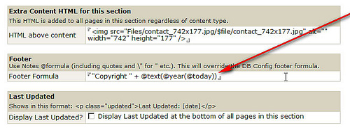 Ability to modify the footer by section