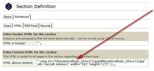 Custom HTML inserted in each page in the section